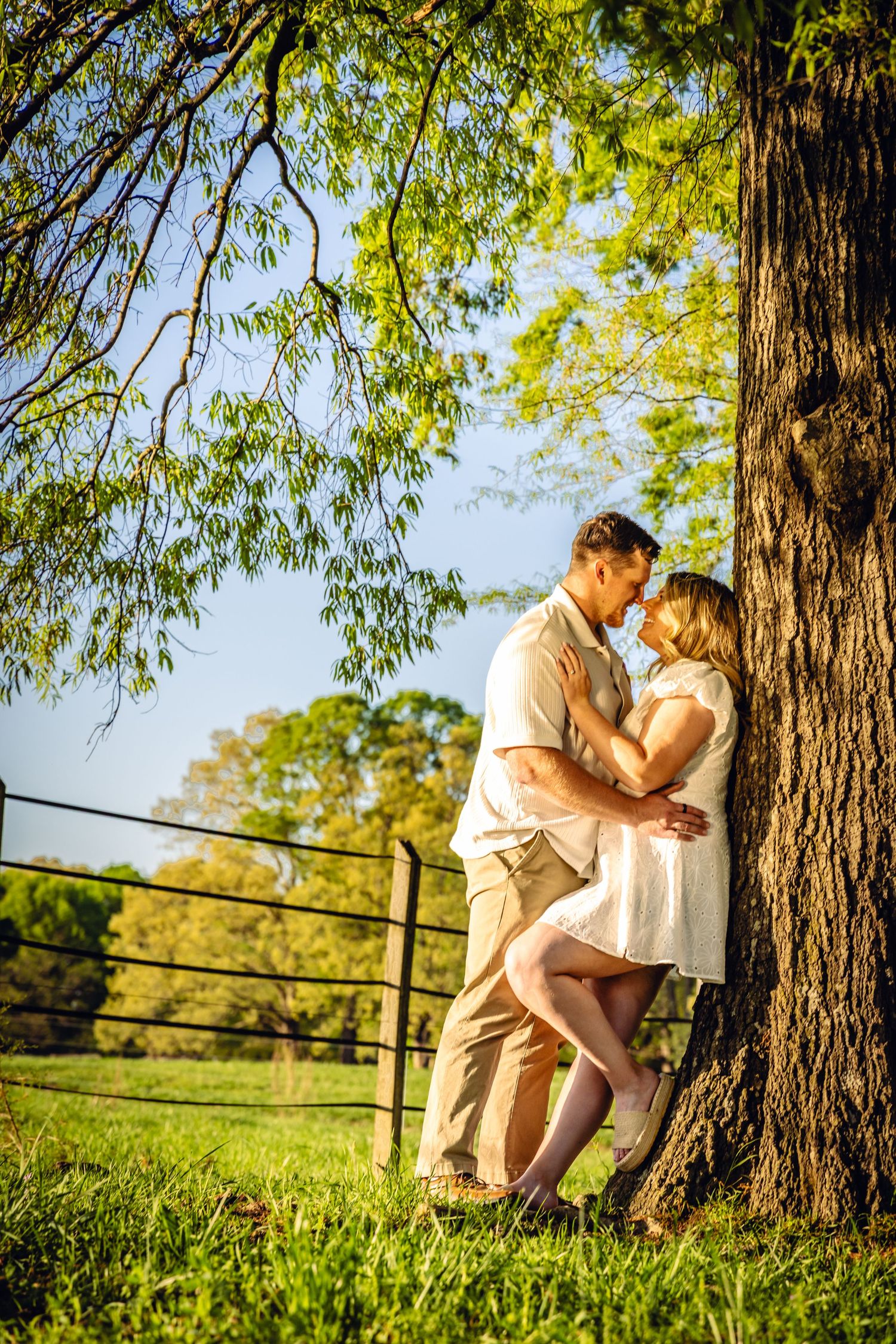 A couple shares a romantic moment together under a large tree in a sunlit meadow with wooden fence in background.