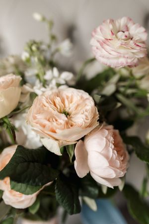 Delicate pink and peach garden roses with soft petals and green leaves arranged in a close-up composition.