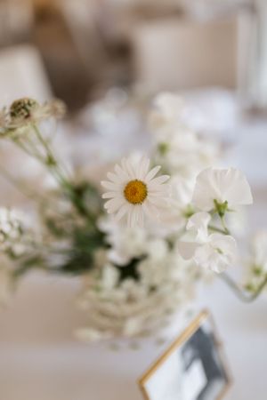 White daisy centerpiece in a delicate glass vase on a light colored table setting.