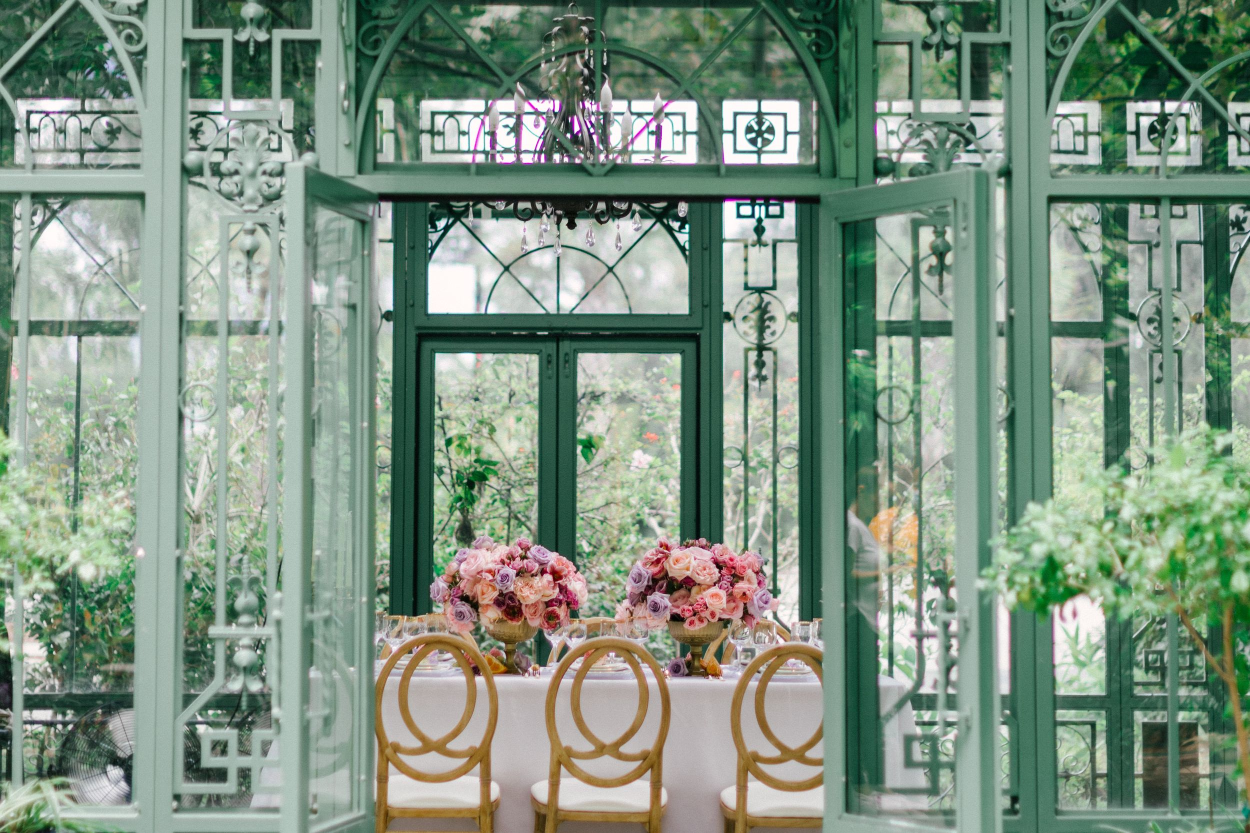 Sugar Rose Gardens Jael Cayemitte Owensboro Evansville