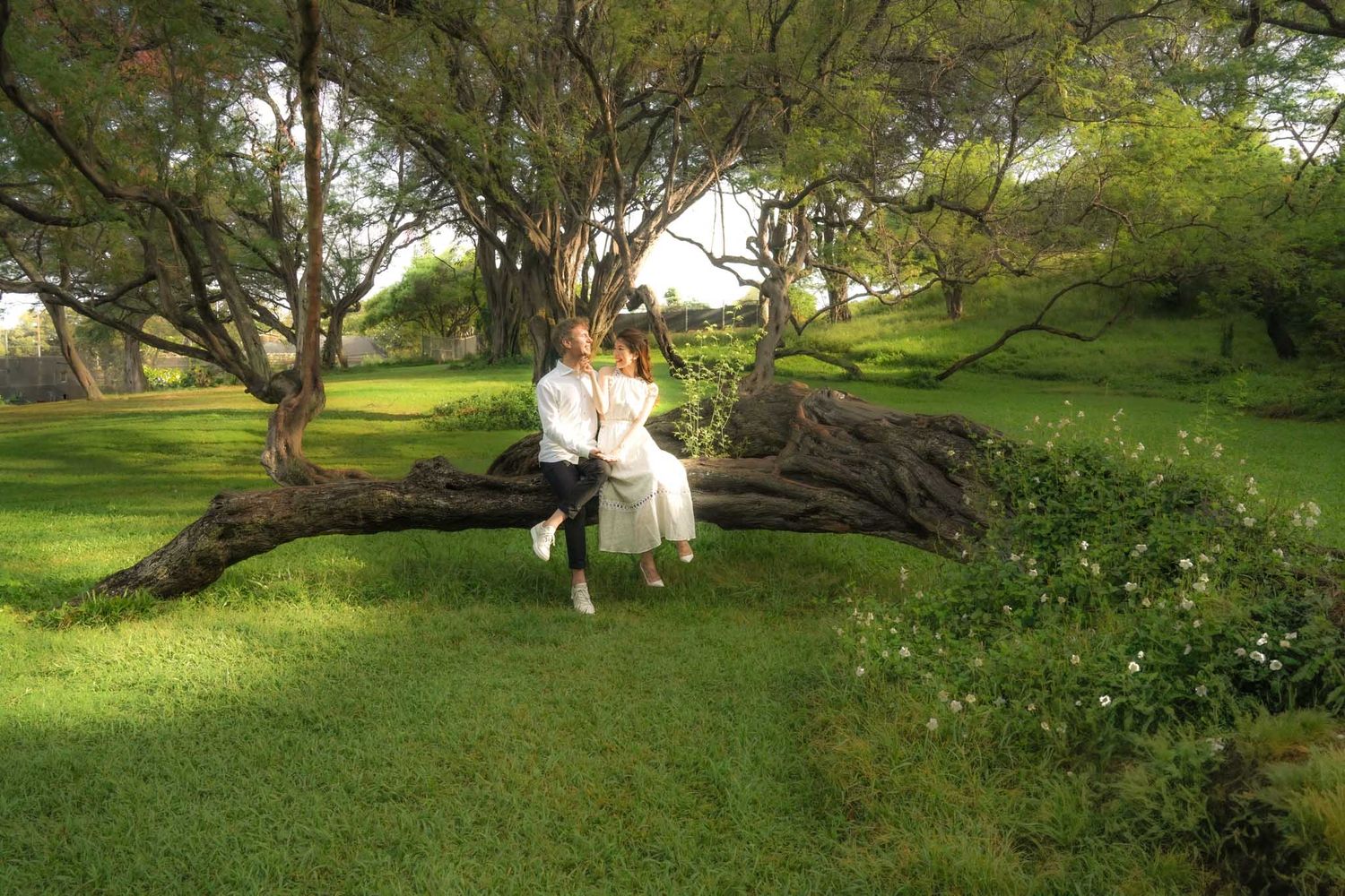 A couple photo session wearing white sits together on a fallen tree trunk in a lush green garden setting at Kapiolani park in Honolulu.