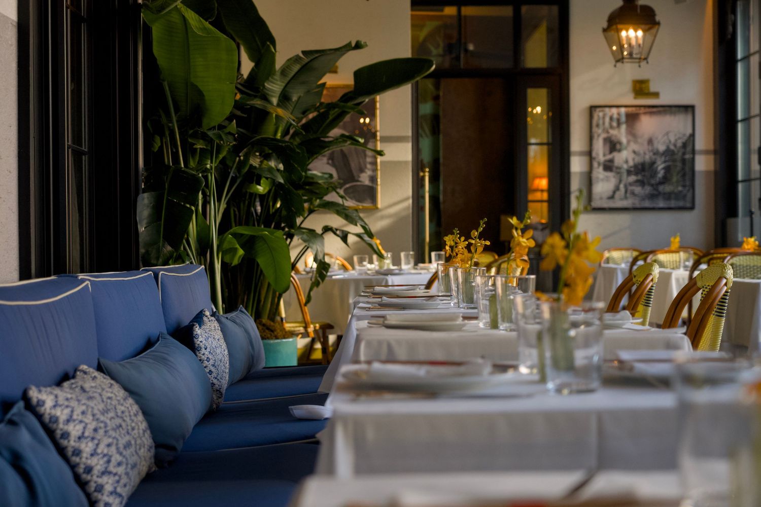 An elegant outdoor dining area featuring white-clothed tables, blue banquette seating with patterned pillows, and lush tropical plants.
