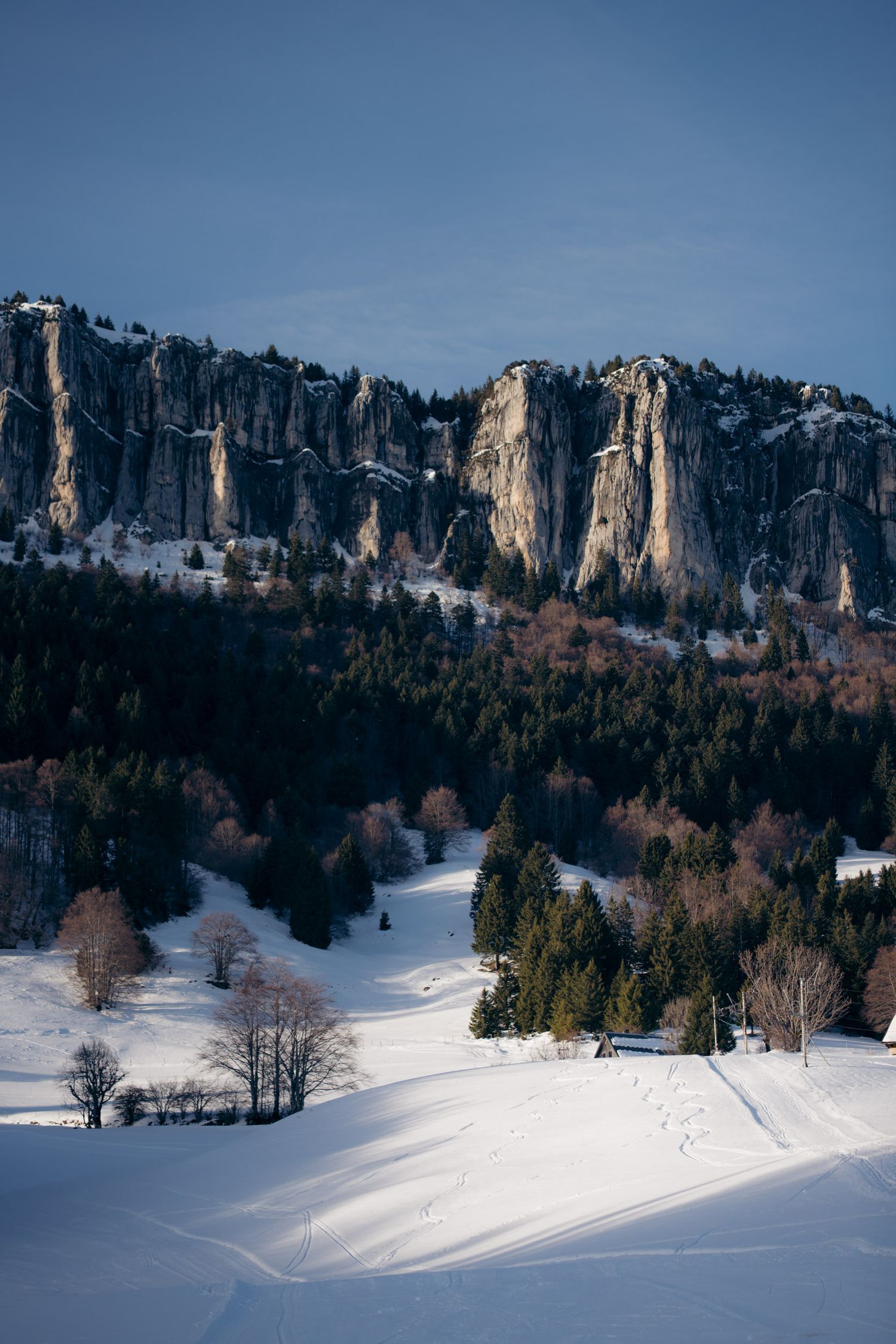 paysage de montagnes au désert d'entremont en hiver