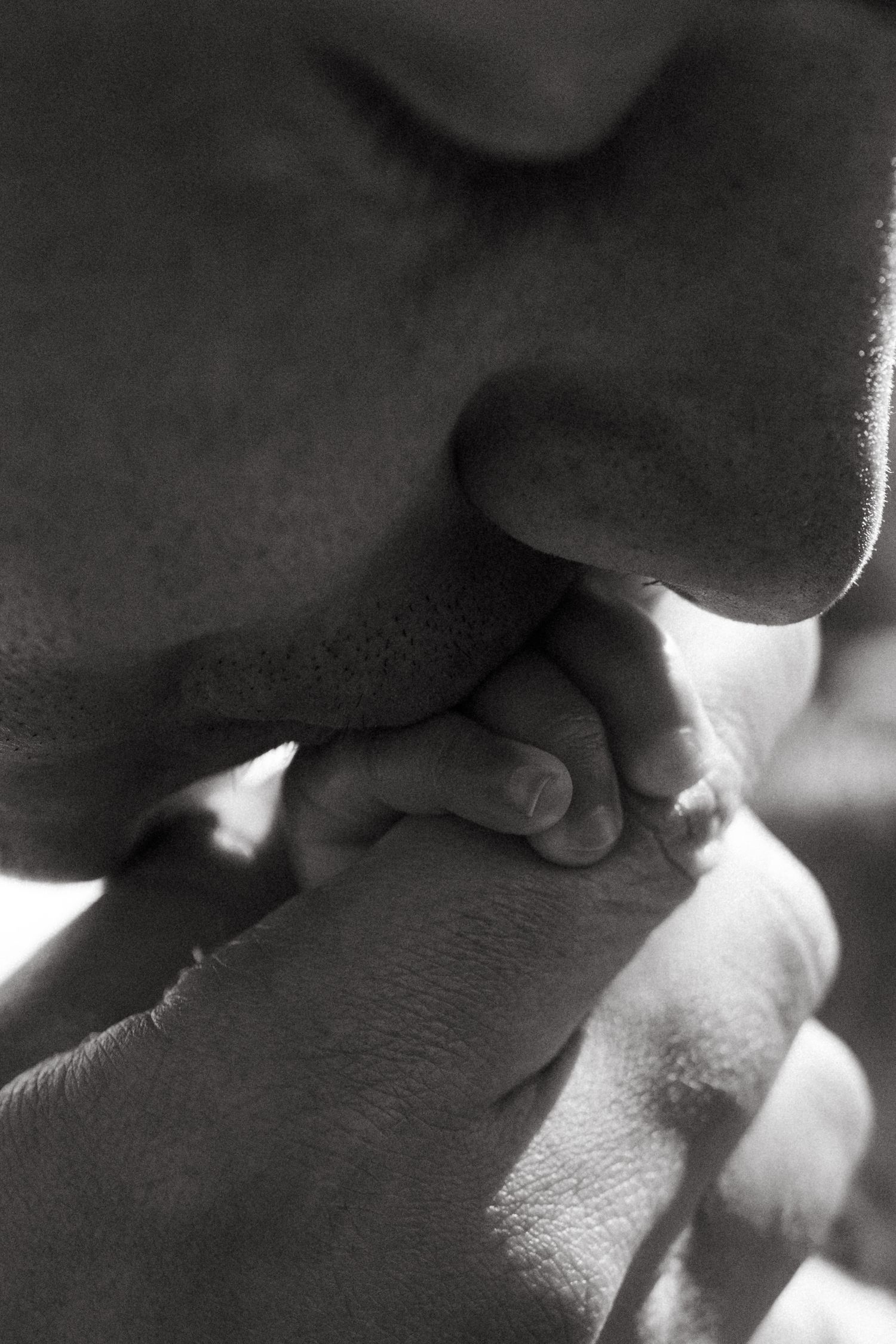 Artistic black and white close-up shots showing gentle expressions of affection.