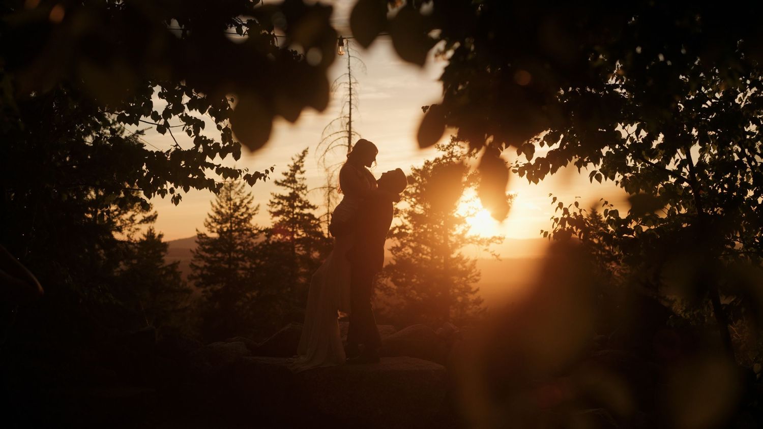 Silhouette of trees against a dramatic orange sunset sky with sun peeking through branches.