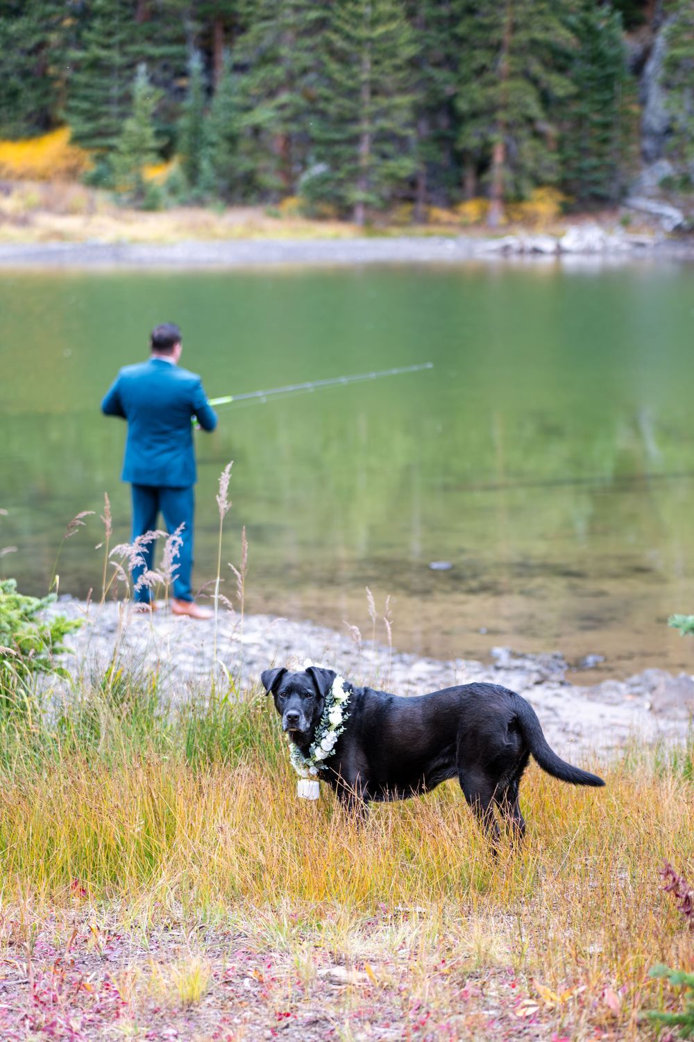 A groom in a blue suit is fishing by a high alpine lake in autumn. His dog stands nearby with a floral ring collar on his neck.