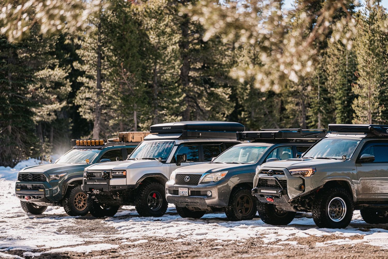 Several SUVs and vehicles parked in a snowy forest parking area surrounded by tall evergreen trees.