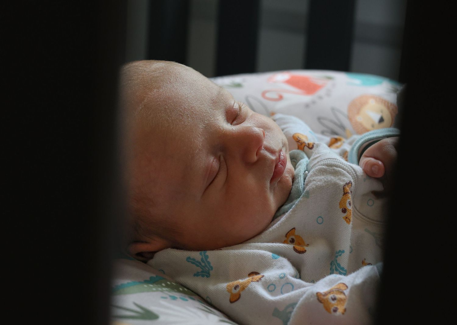 Grey County newborn sessions. Newborn photography Grey County