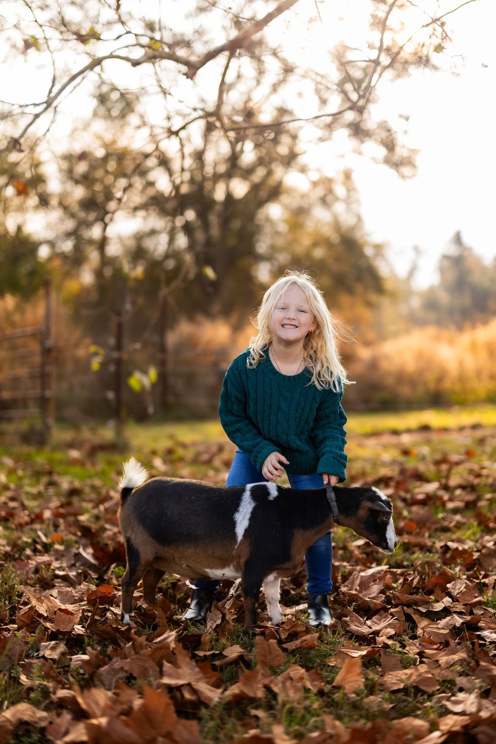 A playful moment captured in autumn leaves with a black and white goat and teal sweater.