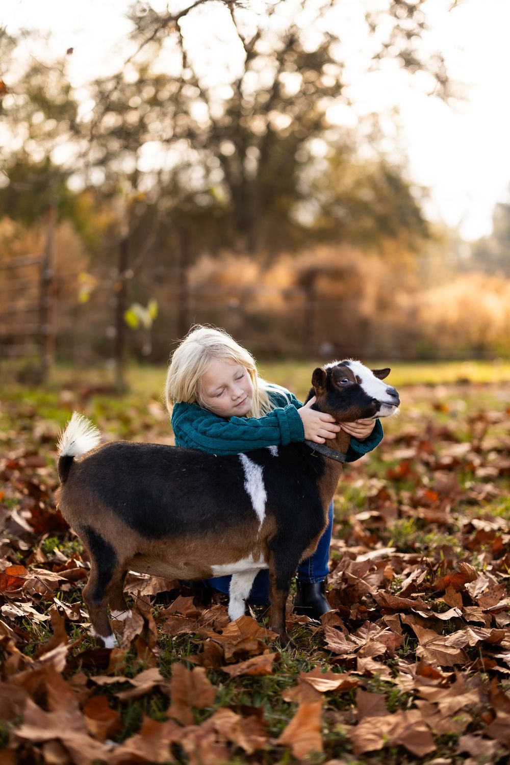 A sweet interaction with a black and white goat among scattered fall leaves at sunset.