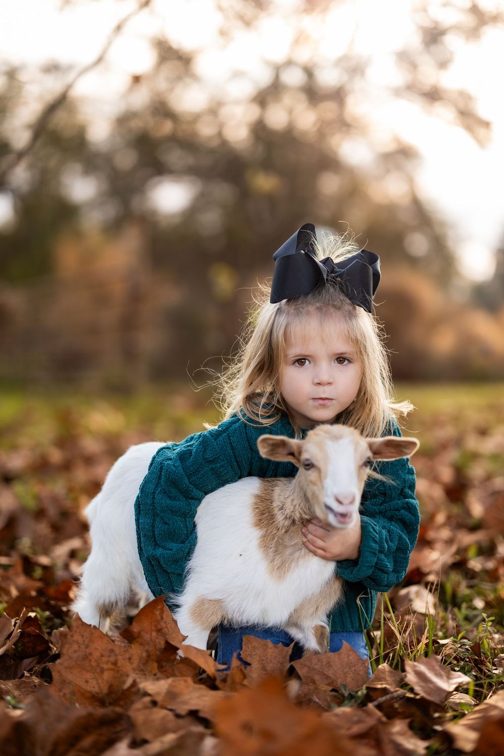 A gentle embrace with a white goat while sitting in fallen autumn leaves.