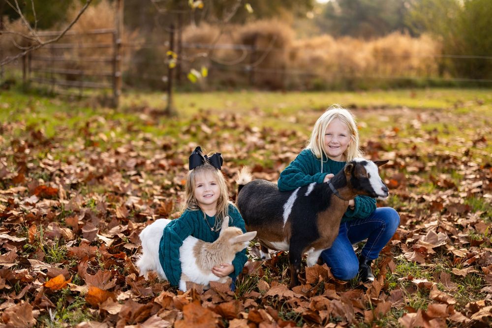 Playing with goats in a field covered with golden autumn leaves.