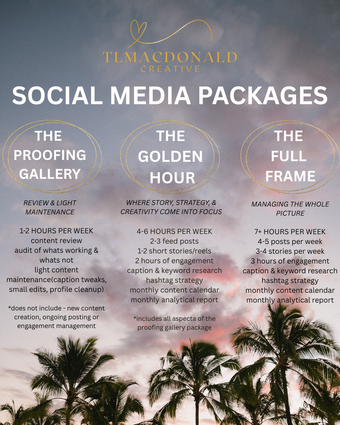 Social media pricing packages displayed on a dark background with palm trees silhouetted against a sunset sky.