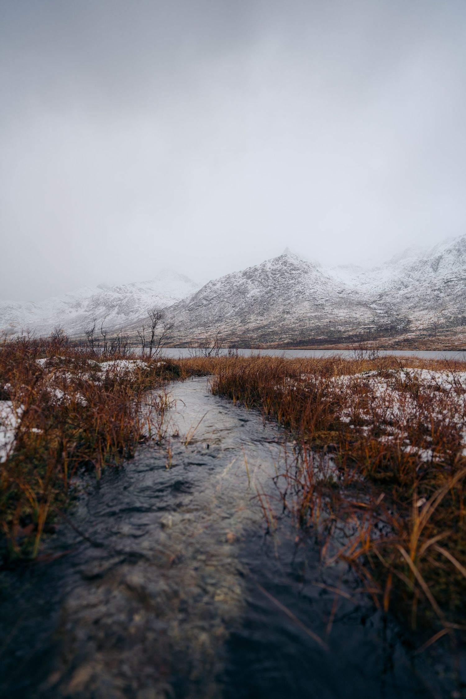 lac Kattfjordvatnet en automne avec un petit cours d'eau et la montagne enneigée en arrière plan