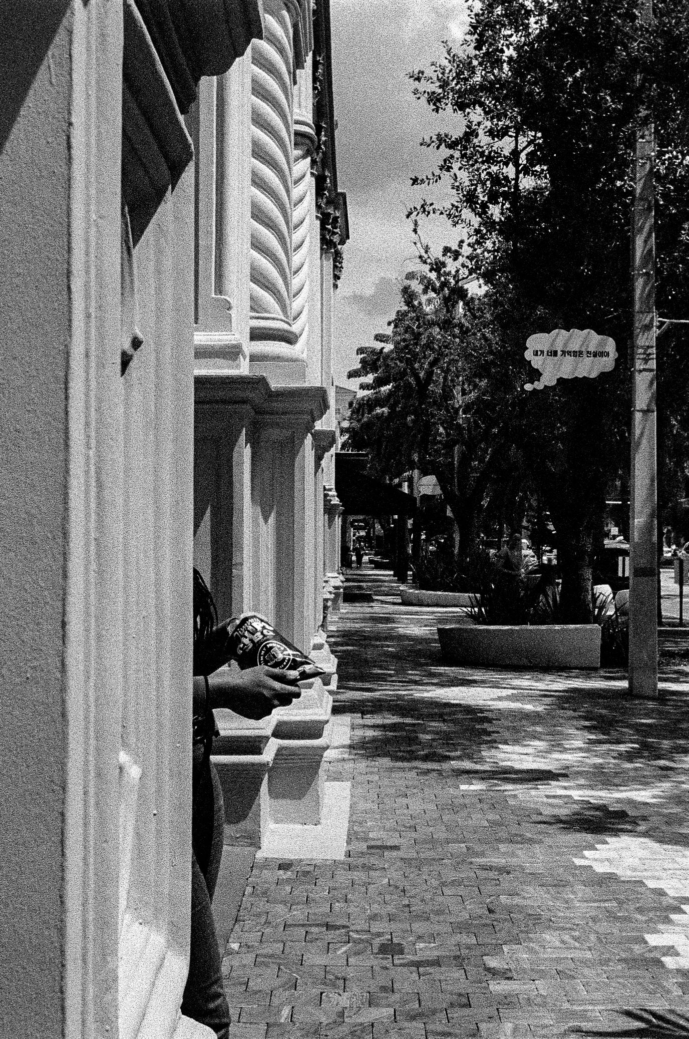 Black and white architectural detail of ornate building facade with brick sidewalk.