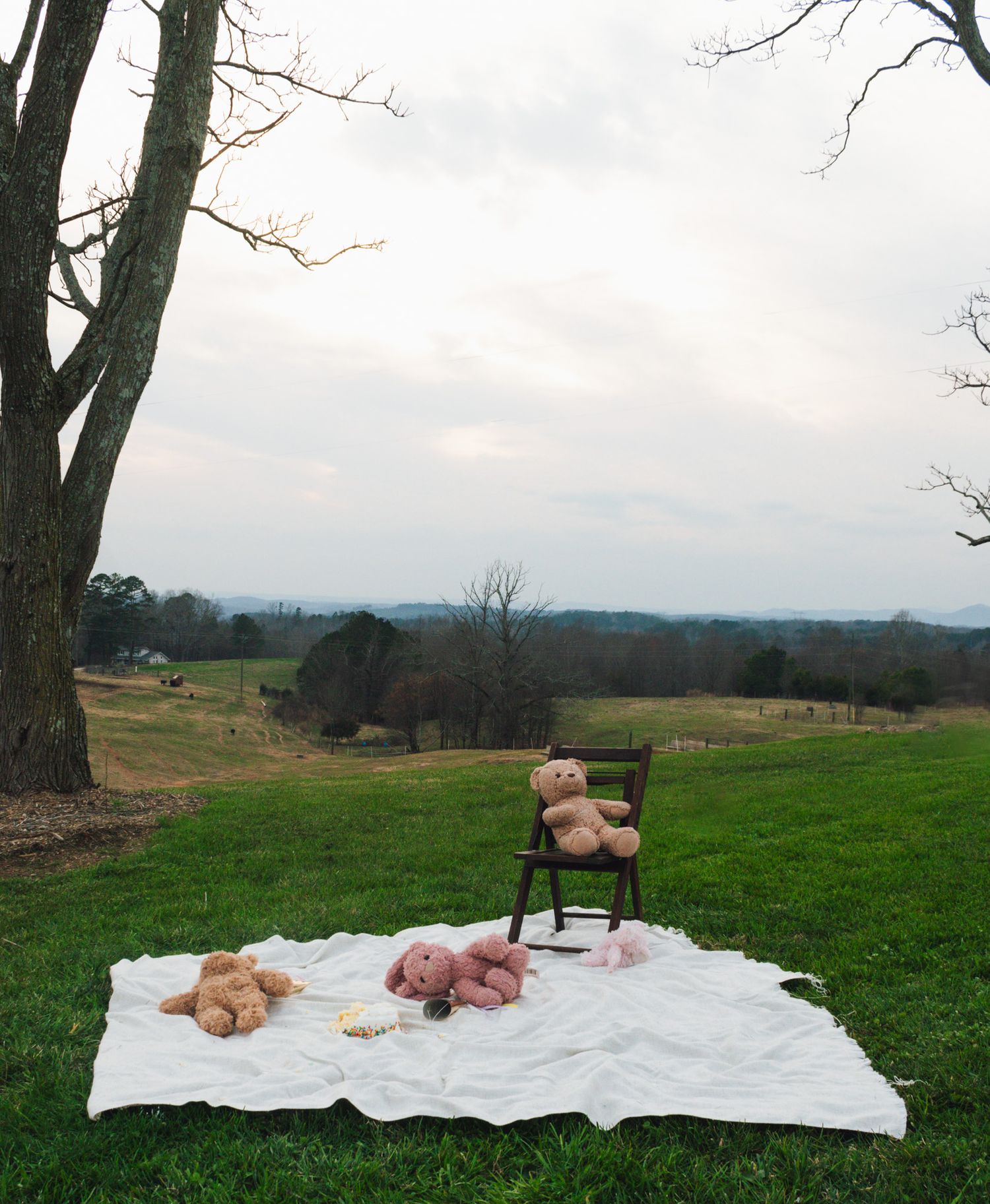 Blanket laid out in a green field with horses grazing in the background.