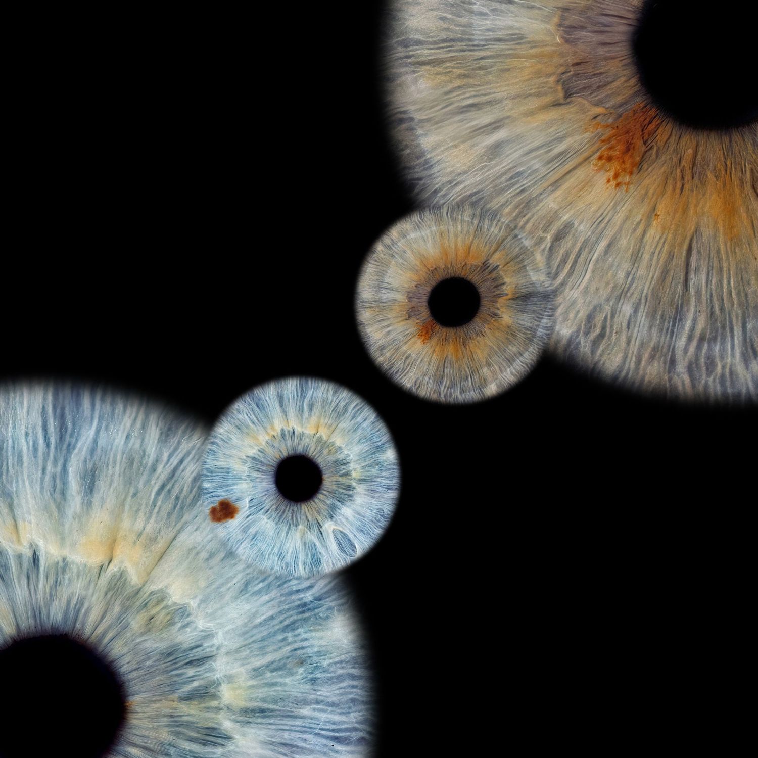 Macro photograph of multiple human irises in blue and amber tones against a black background forming an artistic composition.