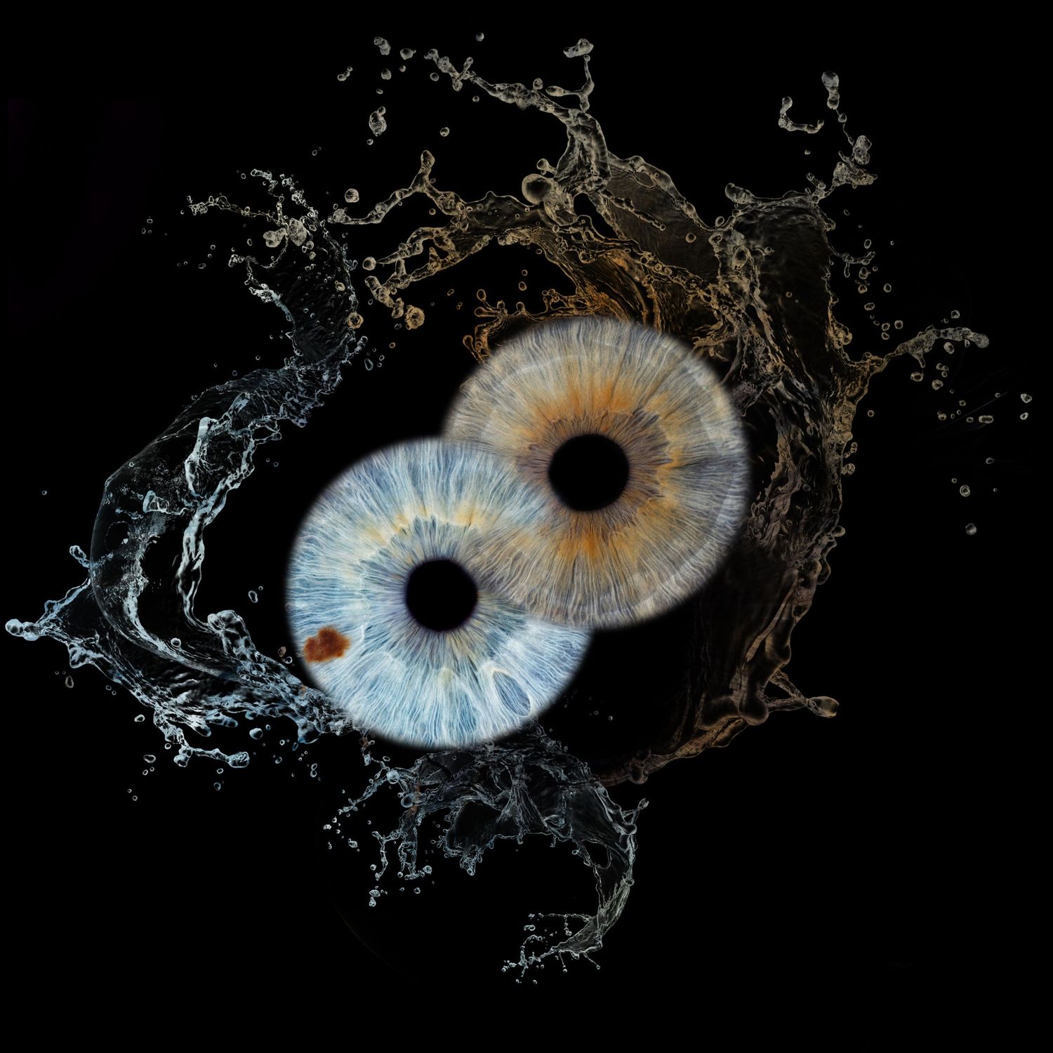 Two blue irises surrounded by dynamic water splashes on black background creating an artistic eye-like composition.