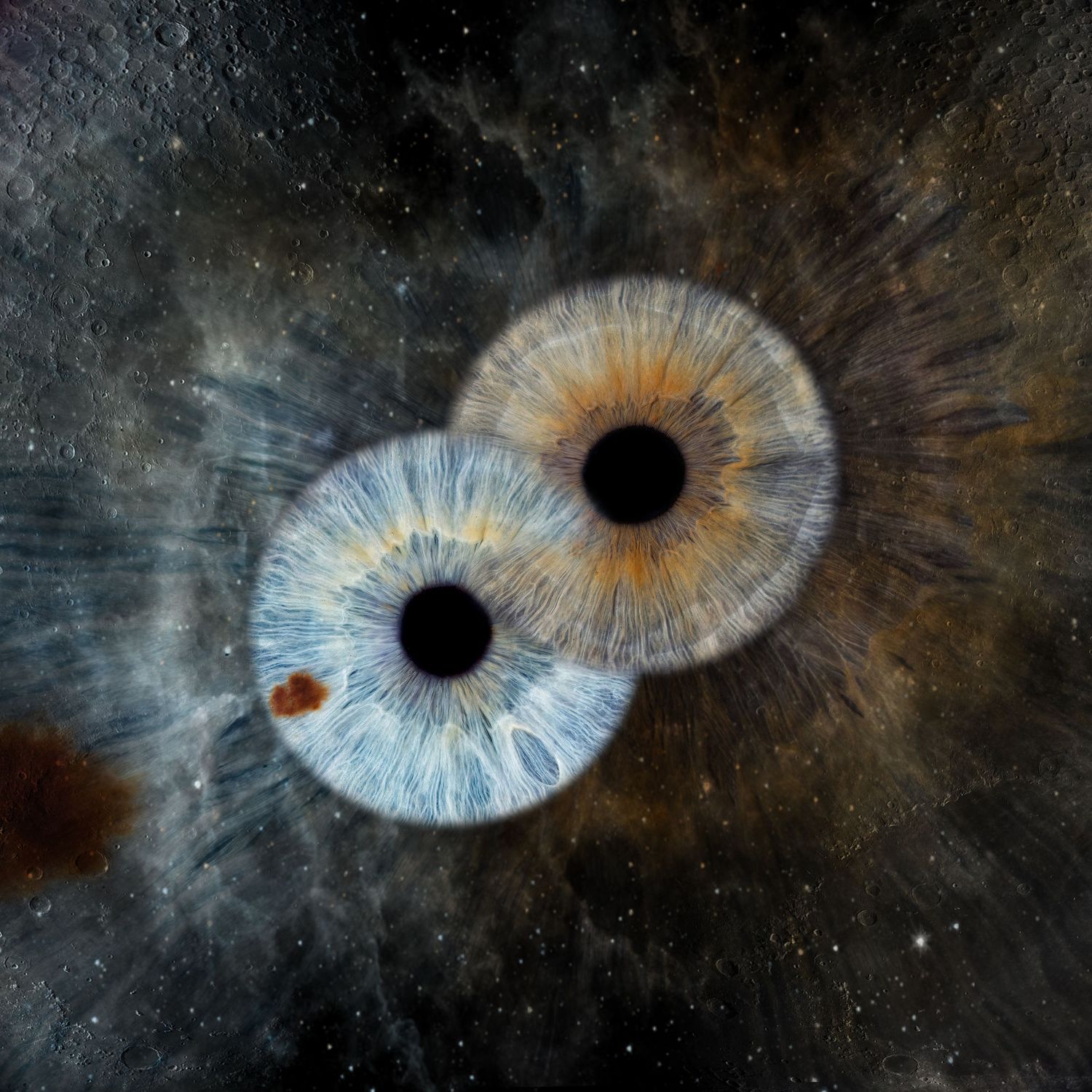 Artistic macro photograph of two blue irises resembling cosmic nebulae against a dark starry background.