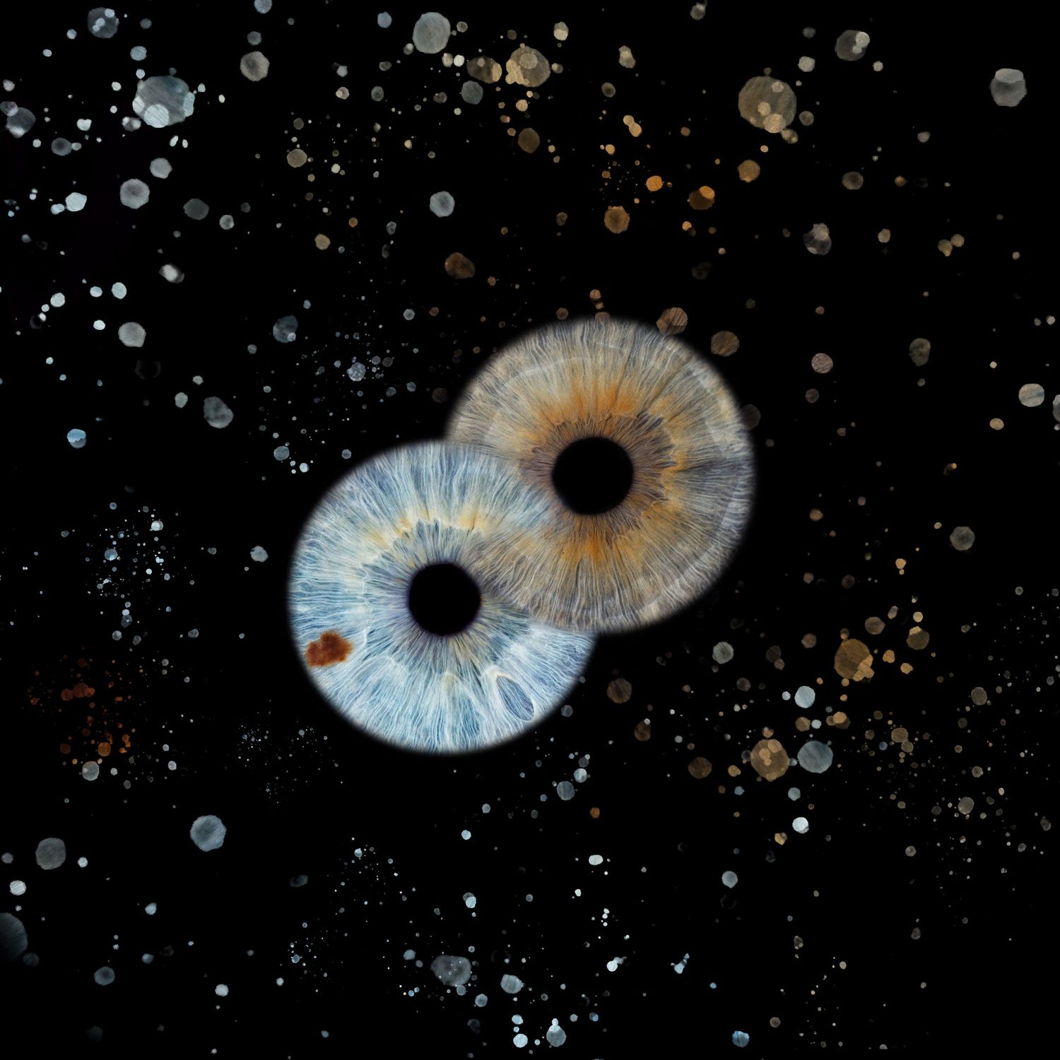 Two blue and brown iris-like designs float in a dark starry space with scattered light dots and specks.