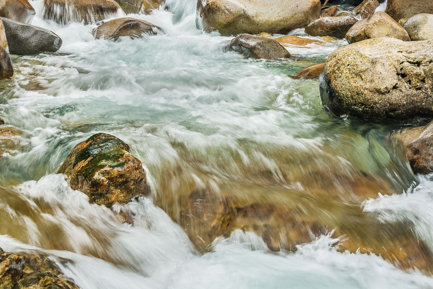 Lynn Creek, Lynn Canyon, North Vancouver