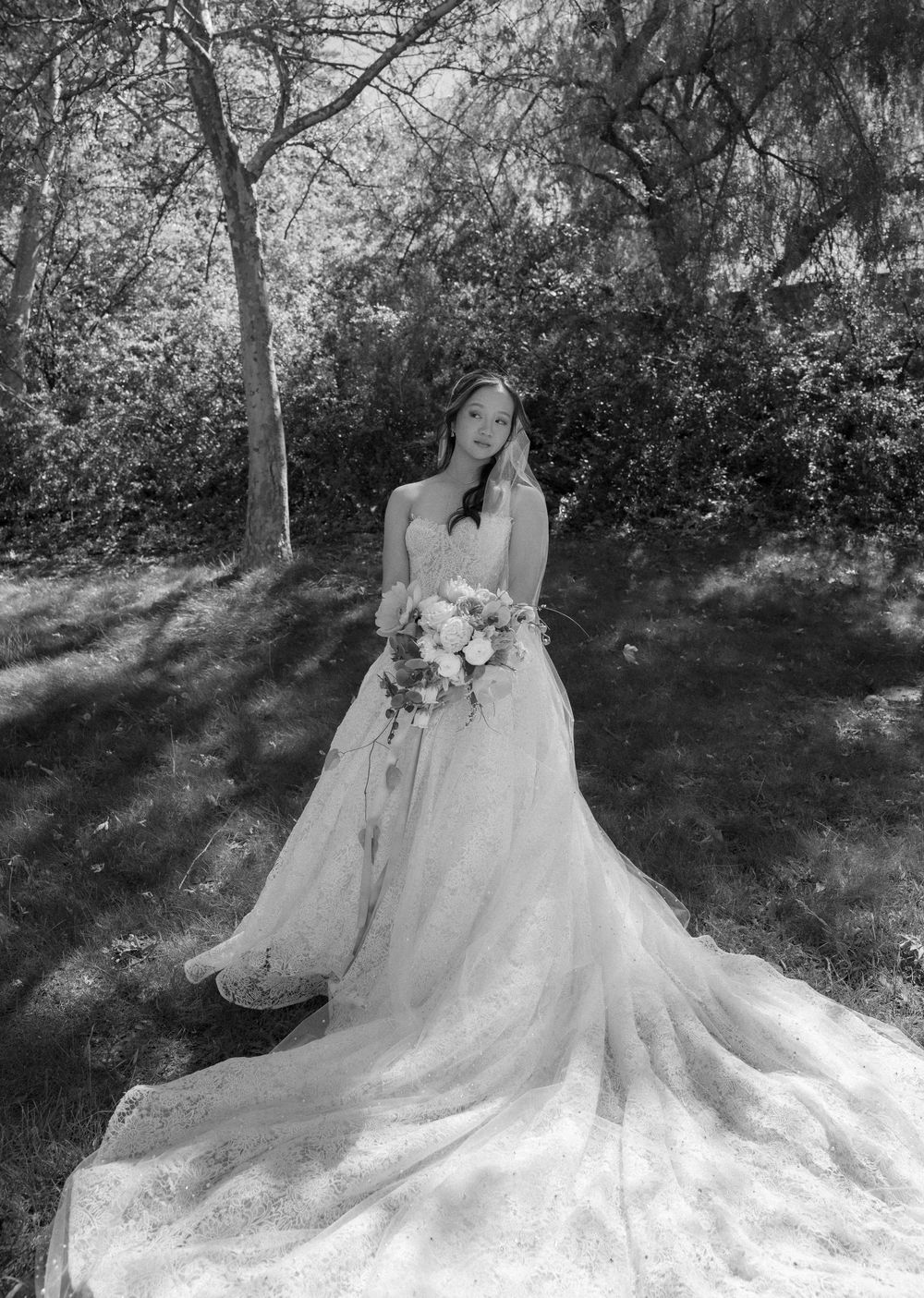 A stunning bridal portrait showcases an elaborate lace wedding gown in a black and white woodland setting.