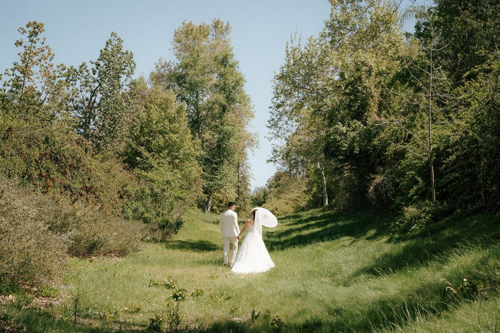 An elegant wedding couple poses in a scenic hillside setting among birch trees.