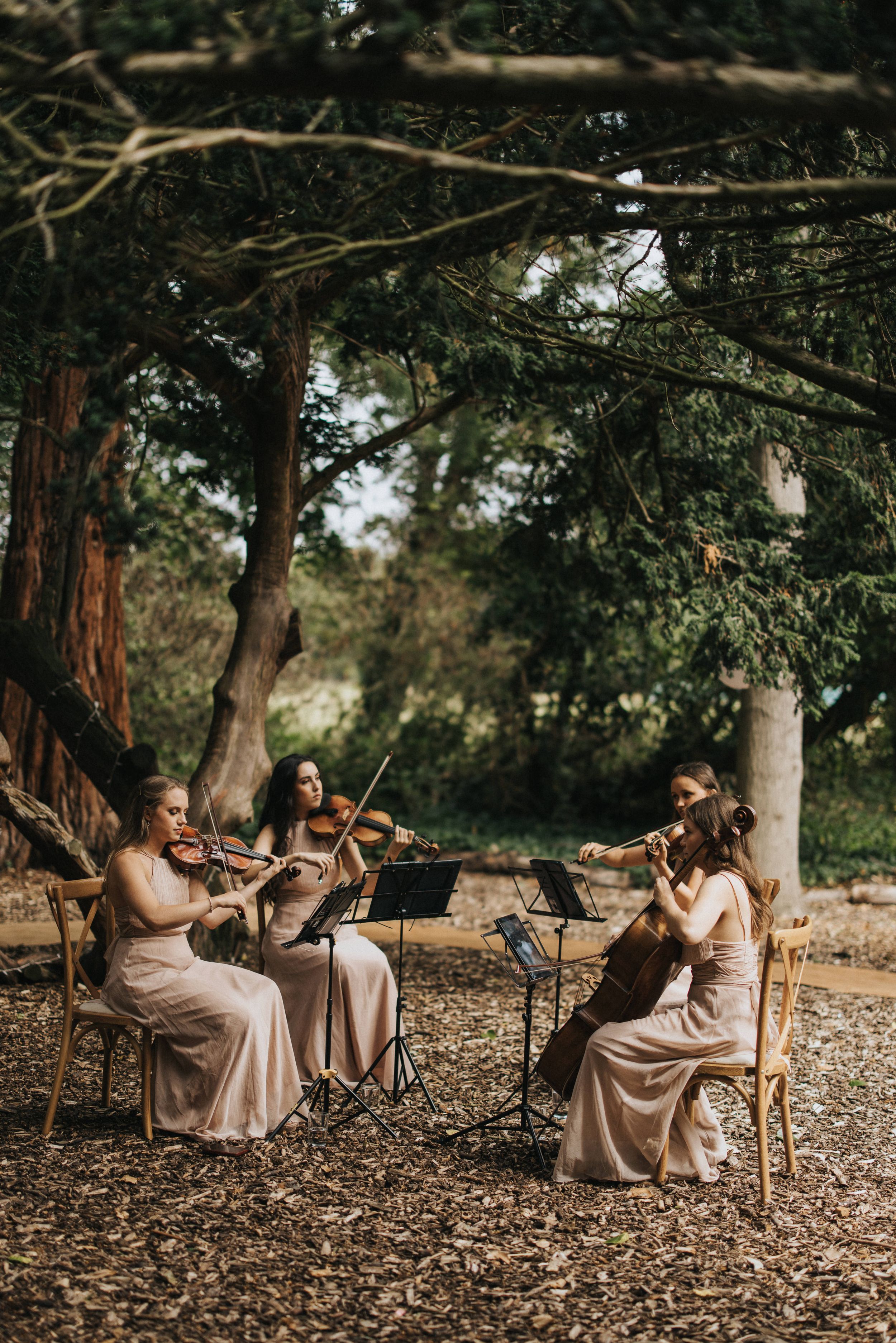 Musicians in blush pink dresses play string instruments while seated outdoors in a wooded forest setting at Hirst Priory.