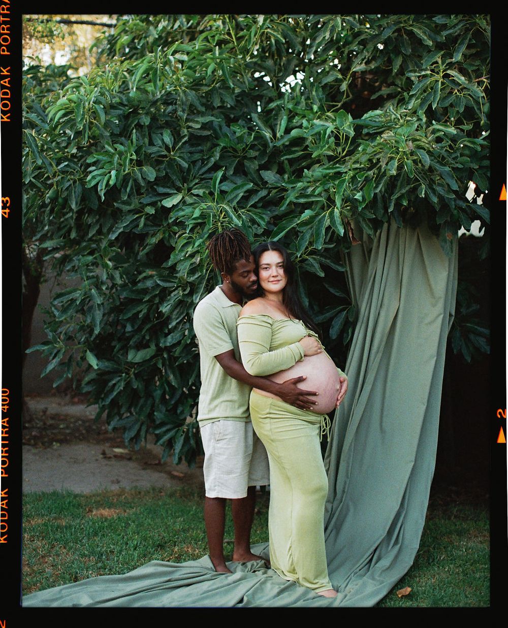 A series of progressive stills showing someone being pulled into a bush or shrub from behind a draped background.