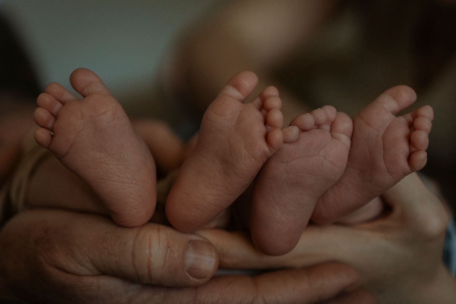 Seven connected images show tiny newborn baby feet in different poses against a soft neutral background.