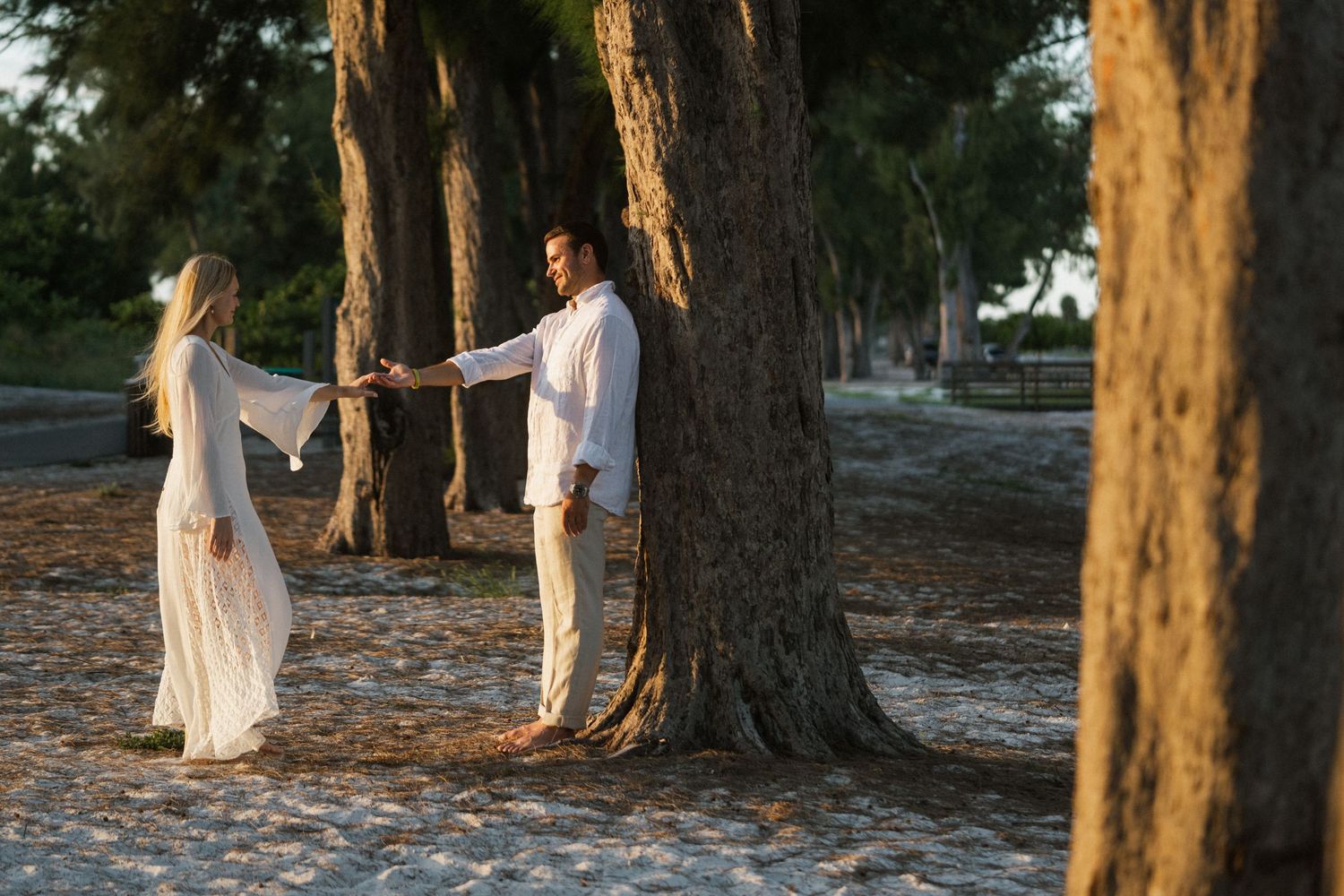 Couple walking hand in hand among tall trees at sunset in a park.