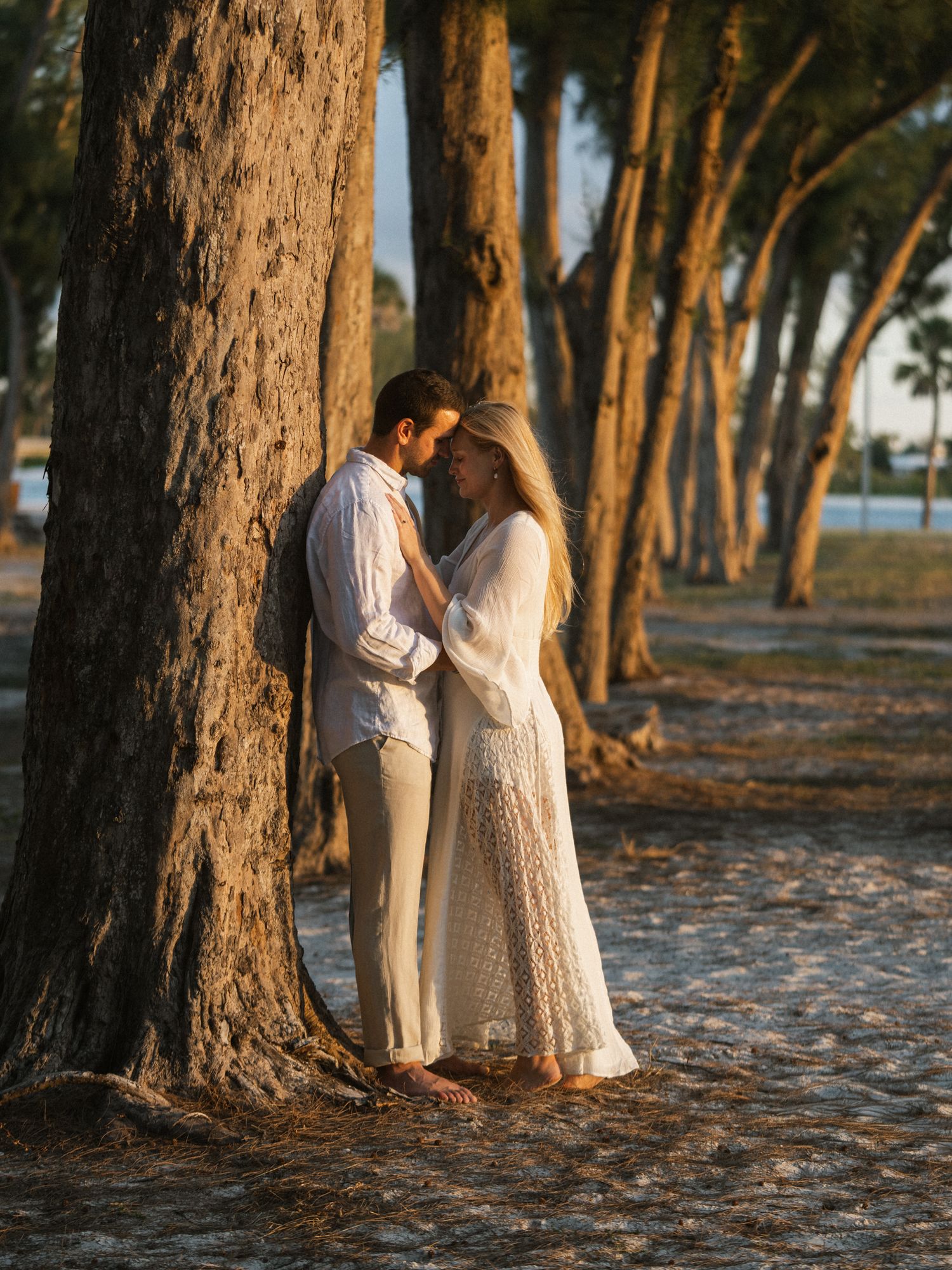 A romantic photoshoot among pine trees with a couple in white clothing at sunset.