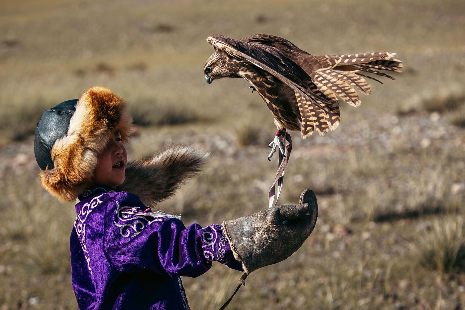 A hawk takes flight from an outstretched arm in a purple sleeve against a blurred natural background.