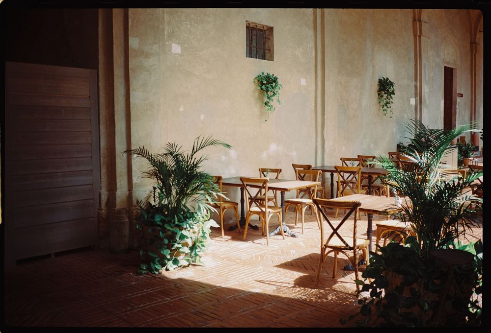 Empty reception venue with wooden chairs and tropical plant decorations.