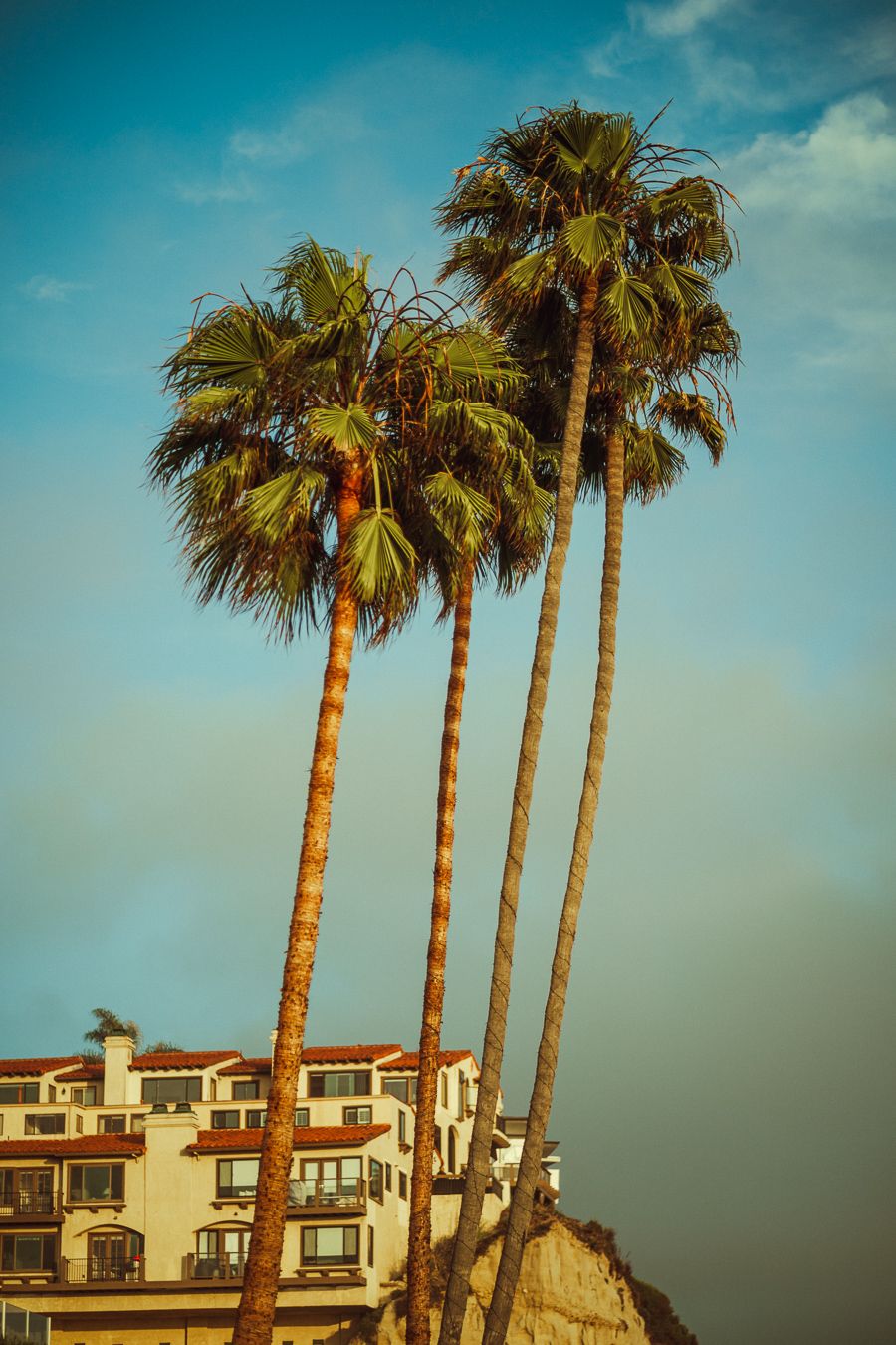 Tall palm trees tower over Mediterranean-style buildings against a vibrant blue sky in a coastal setting.
