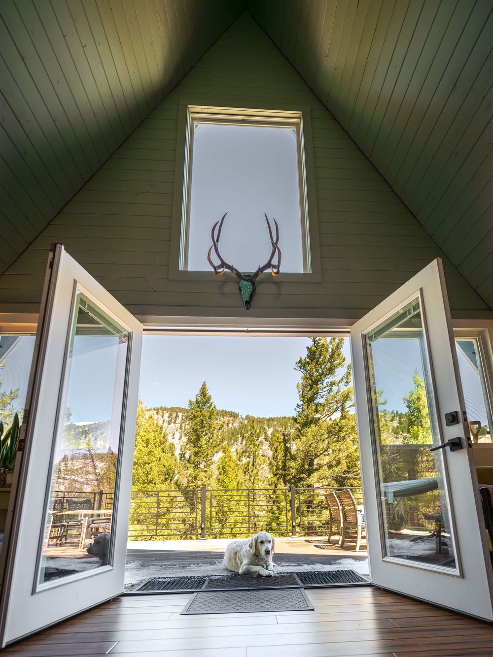 Shot of a dog laying in a doorway at the Hygge Chalet by Denver Hospitality, Travel & Tourism photographer Captain Colorado Photography.