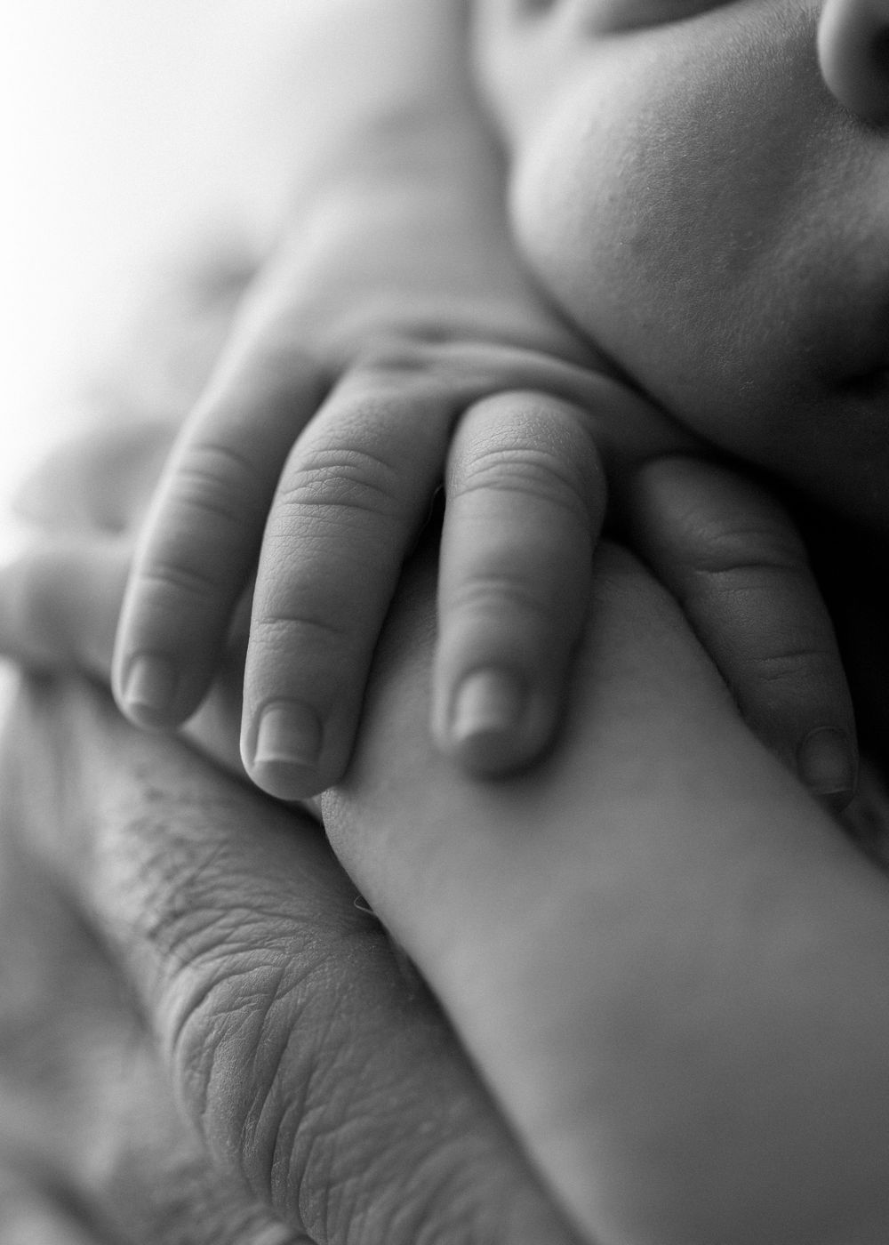 Black and white macro shot of a baby's delicate feet resting on parents hands.