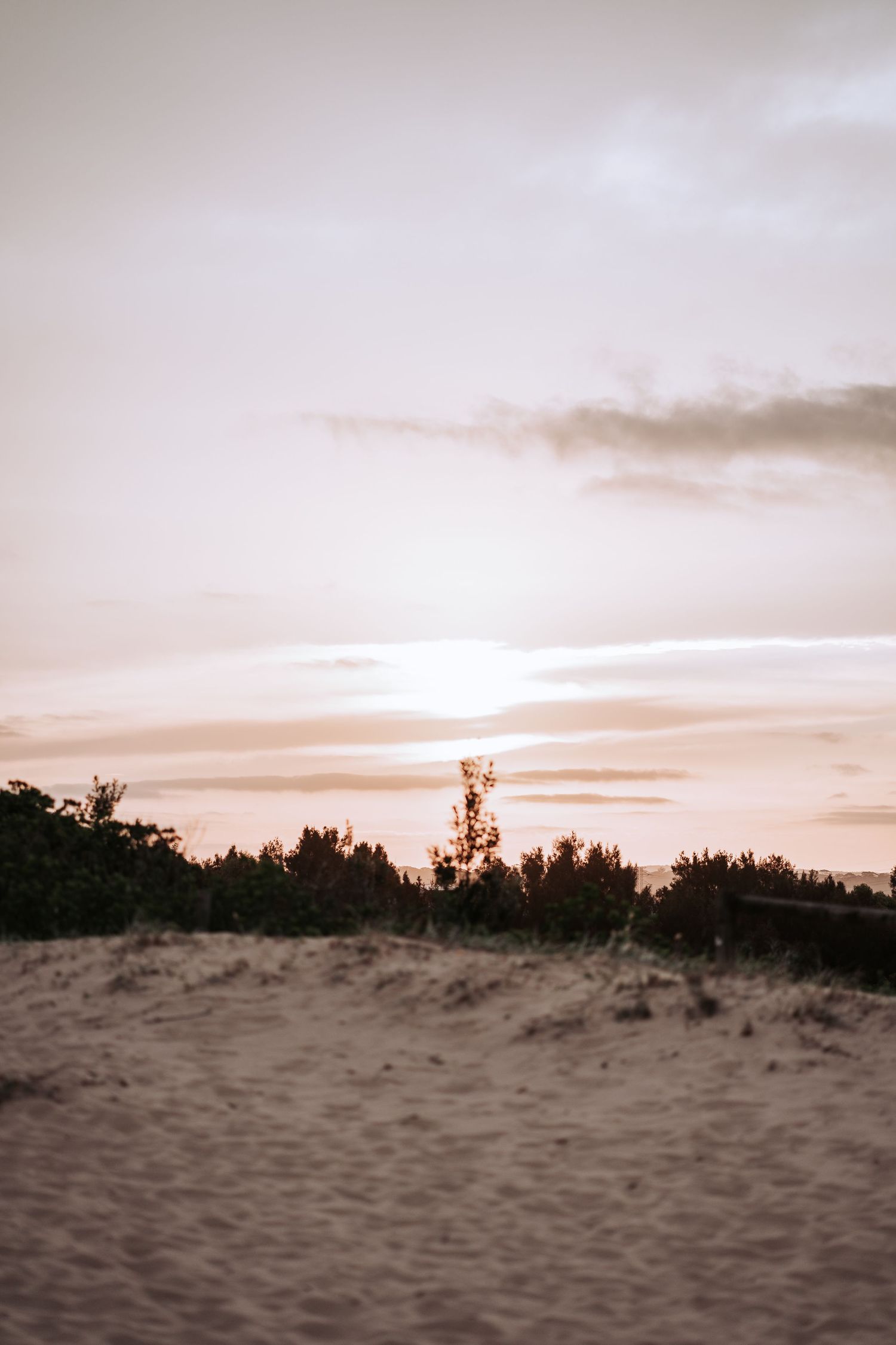 A sandy beach landscape at sunset with silhouetted trees along the horizon and warm orange sky.