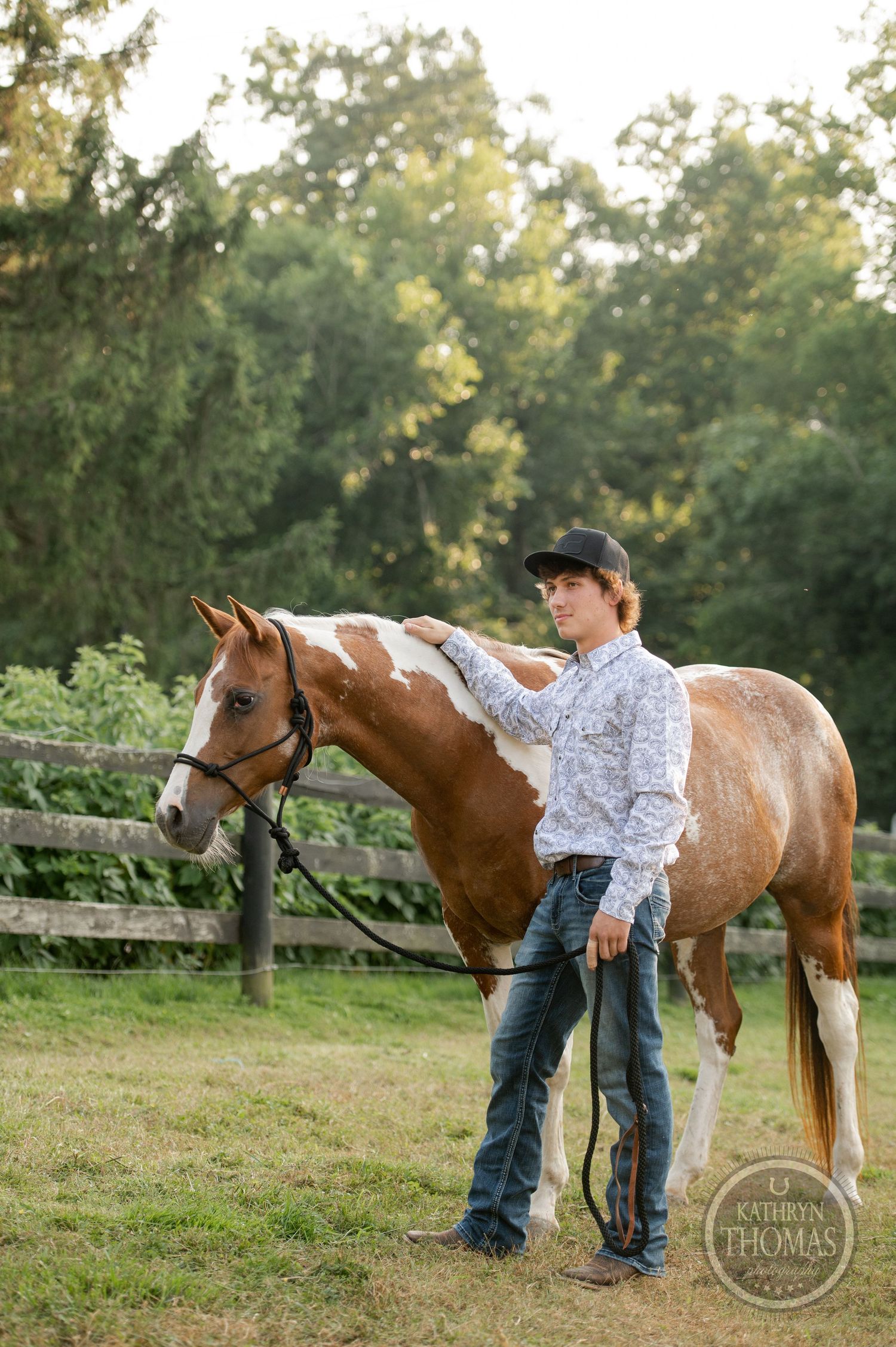 Paint horse with brown and white markings standing beside a wooden fence in late afternoon light.