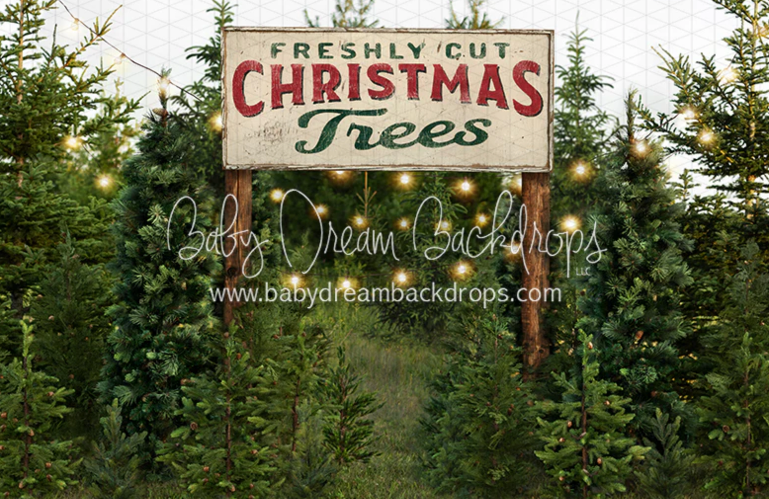 A vintage-style sign advertising freshly cut Christmas trees stands above green evergreen trees at a tree farm.