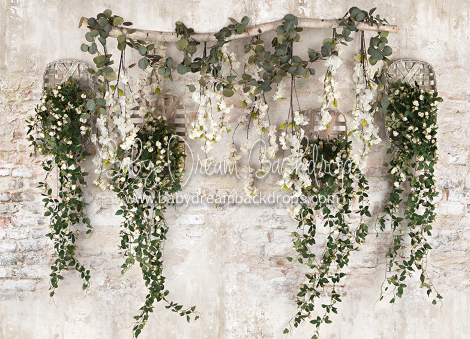 Delicate green ivy vines cascade down a weathered white textured wall creating an elegant natural display.