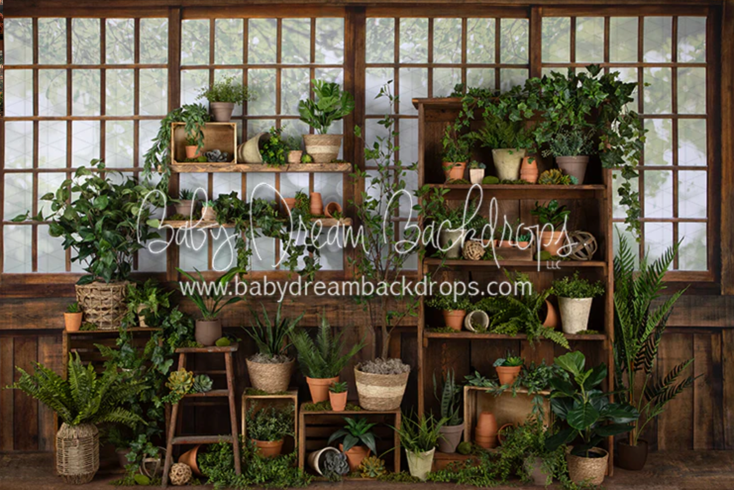 Rustic wooden greenhouse interior with vintage windows, potted plants, and natural light creating a cozy garden atmosphere.