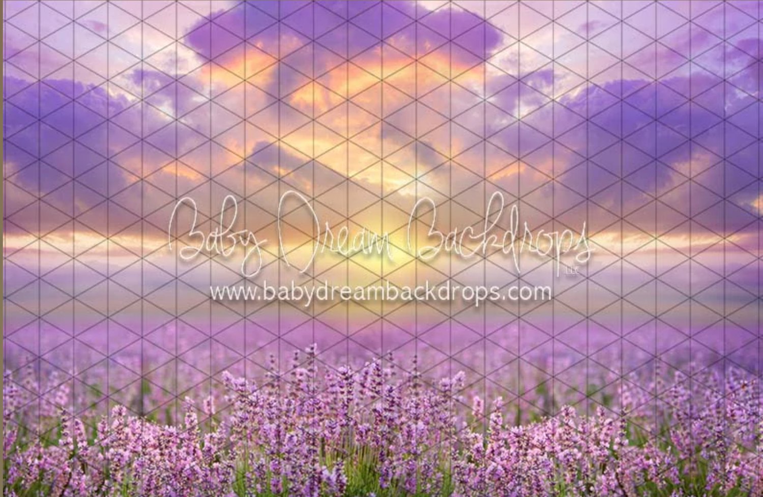 Stunning lavender field stretches toward dramatic purple and orange sunset clouds in the countryside.