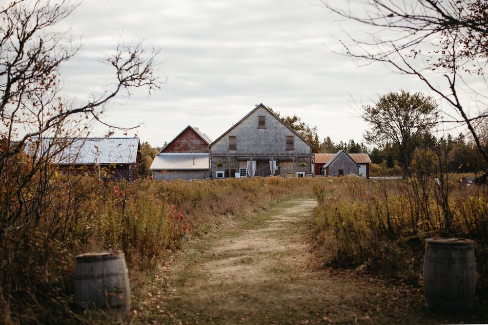Ticklebelly Hill autumn wedding outdoor October wedding ceremony in New Brunswick wedding photography rustic barn venue with grassy field