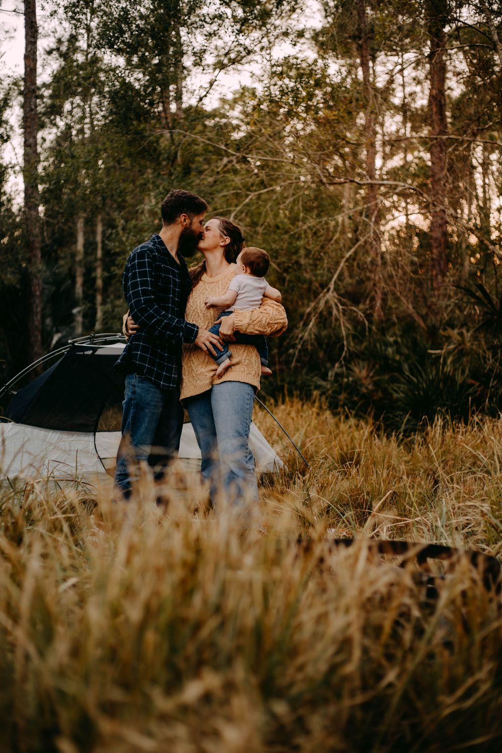 A romantic sunset photoshoot in a field with tall grass and trees silhouetted in the background.