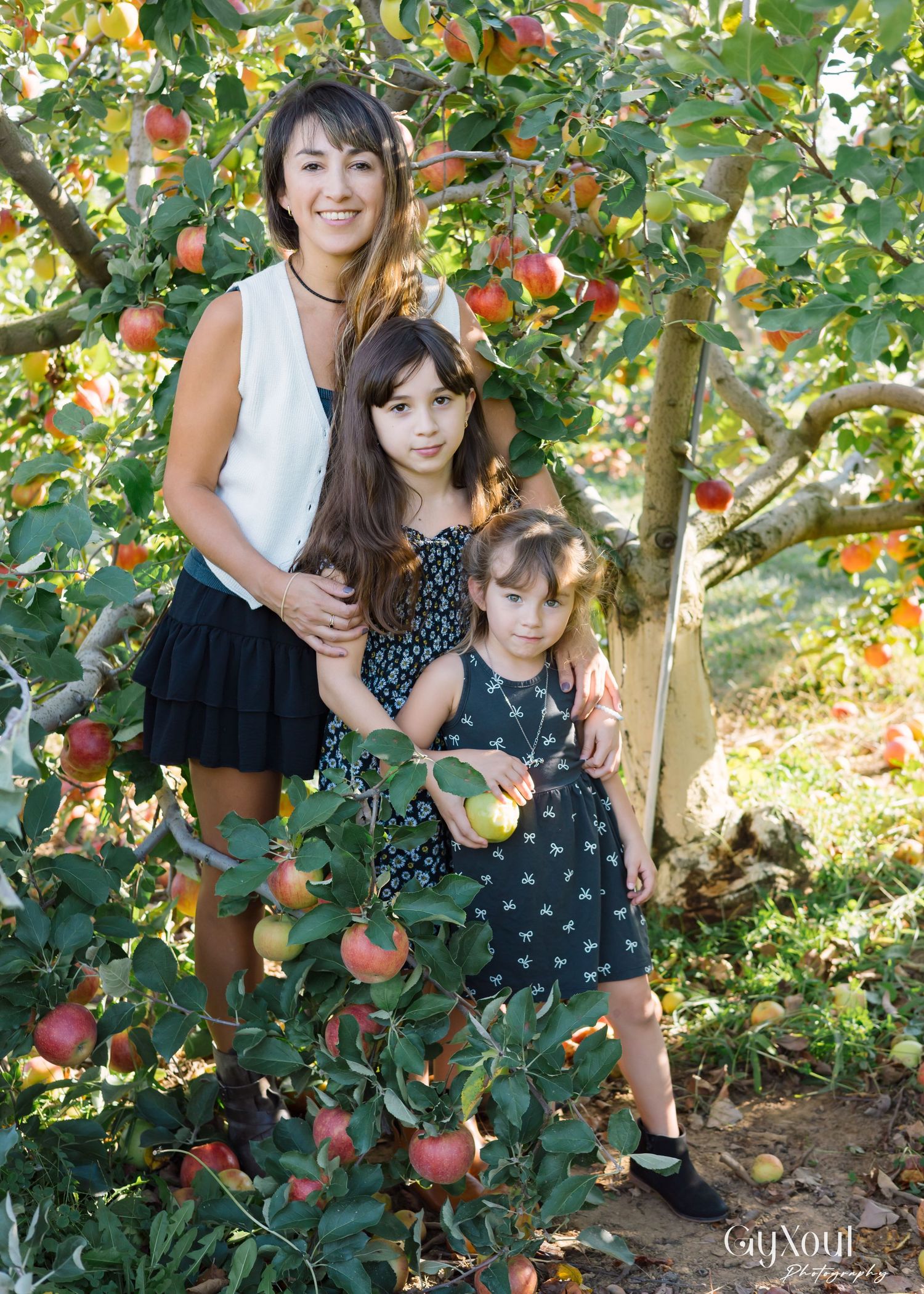 People enjoying a sunny day apple picking in an orchard with ripe red apples hanging from tree branches.