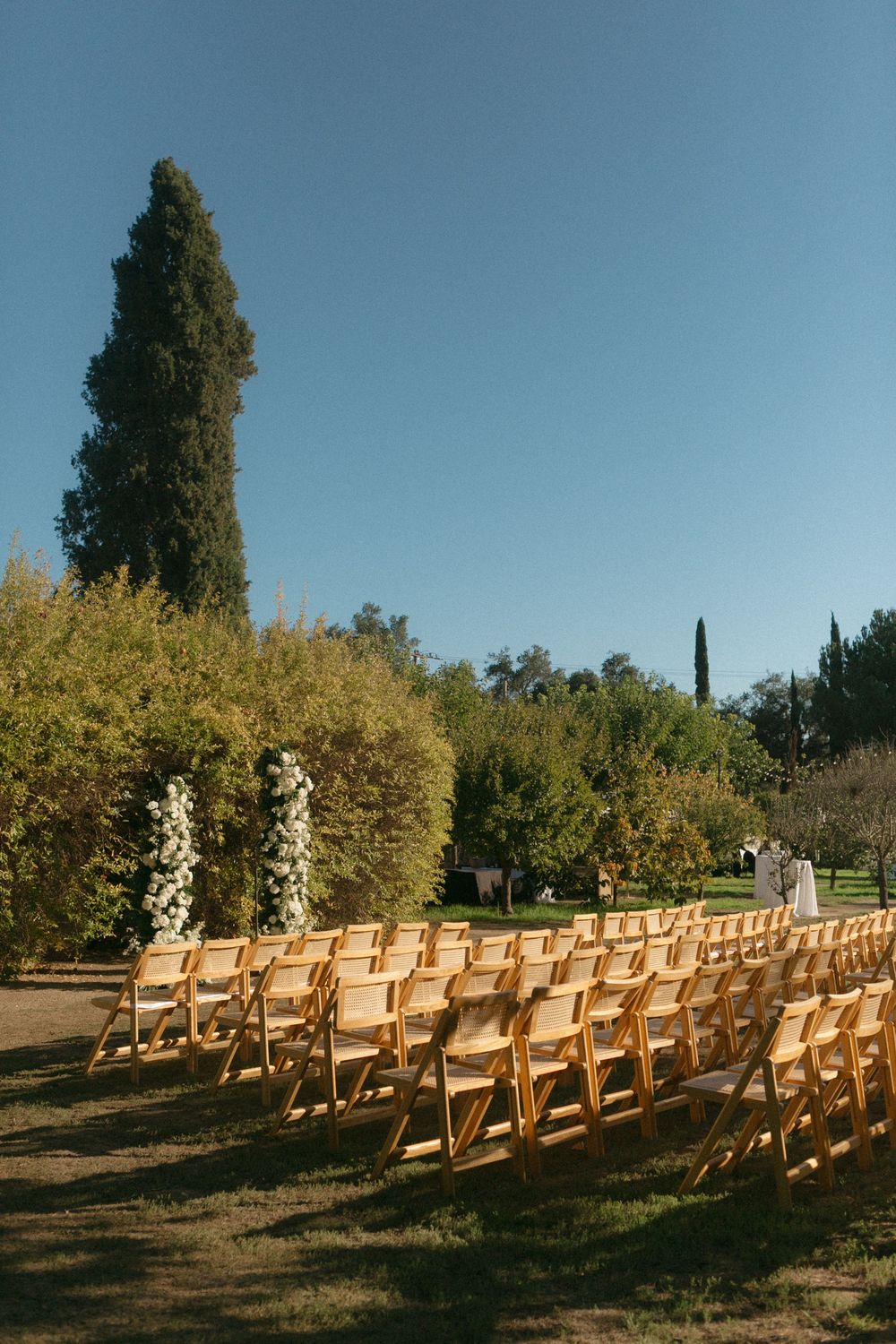 Rows of wooden folding chairs set up outdoors for a wedding ceremony with golden sunlight and cypress trees in background.