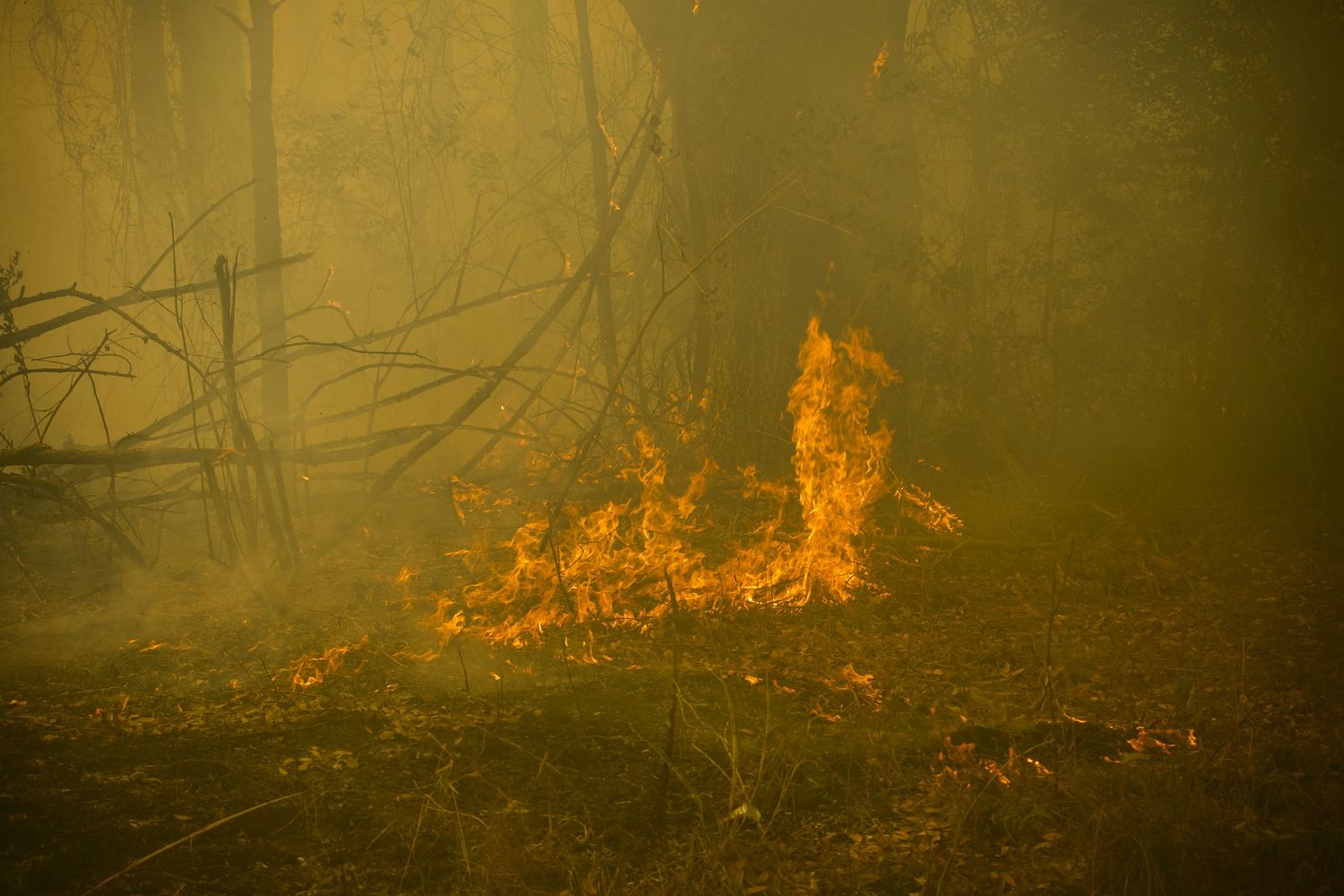 conducting interior work on a RX Burn