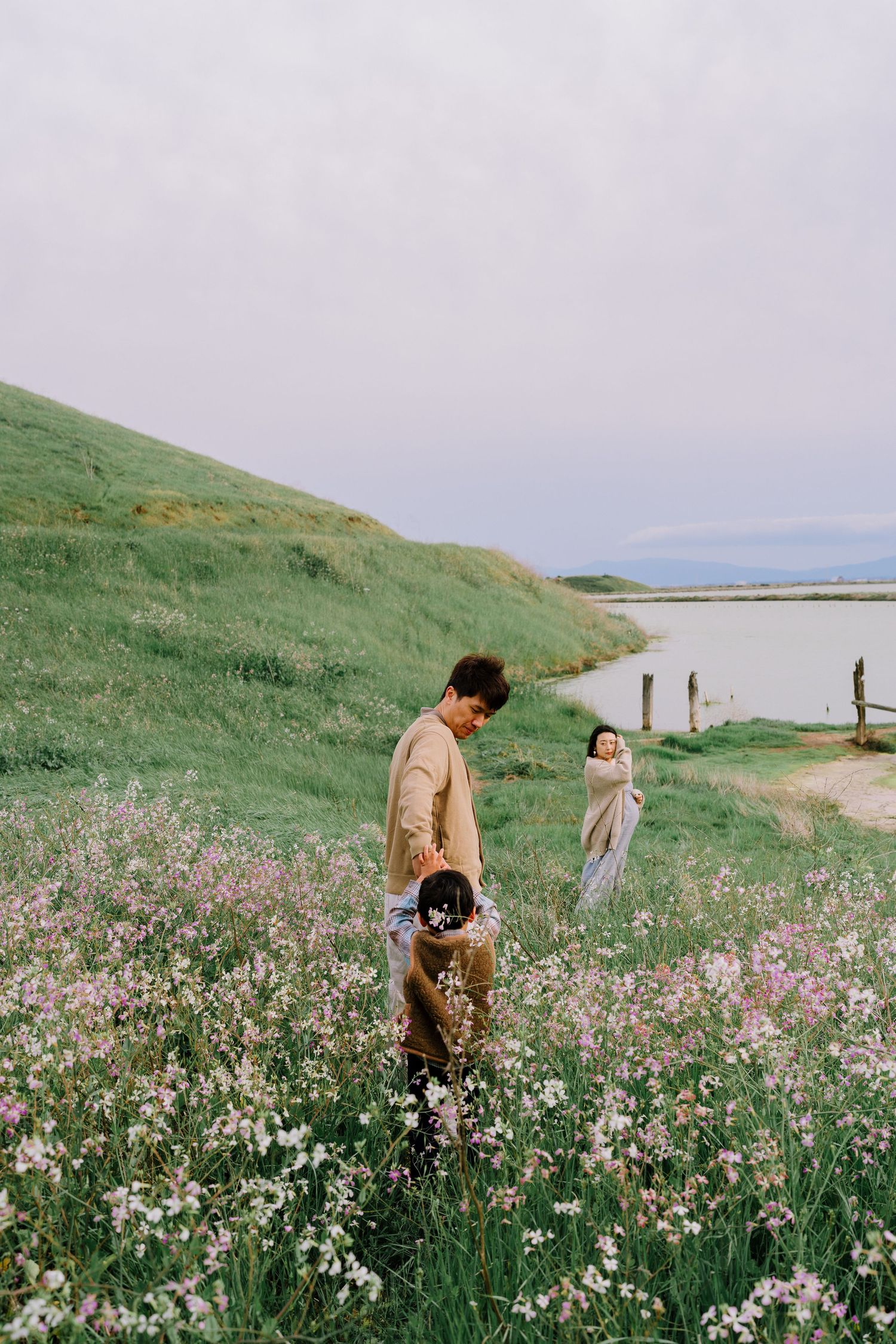 People walking through a meadow of wildflowers along a coastal hillside with water and mountains in the distance.