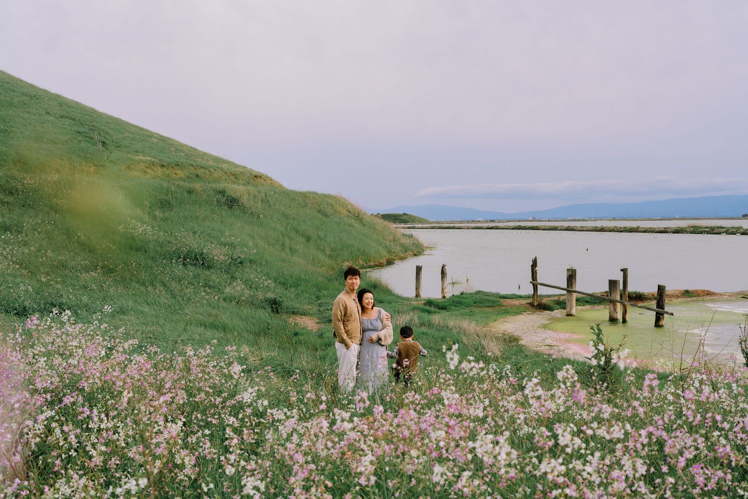 Rolling green hills meet sandy beach along a scenic coastal landscape with wildflowers in bloom.